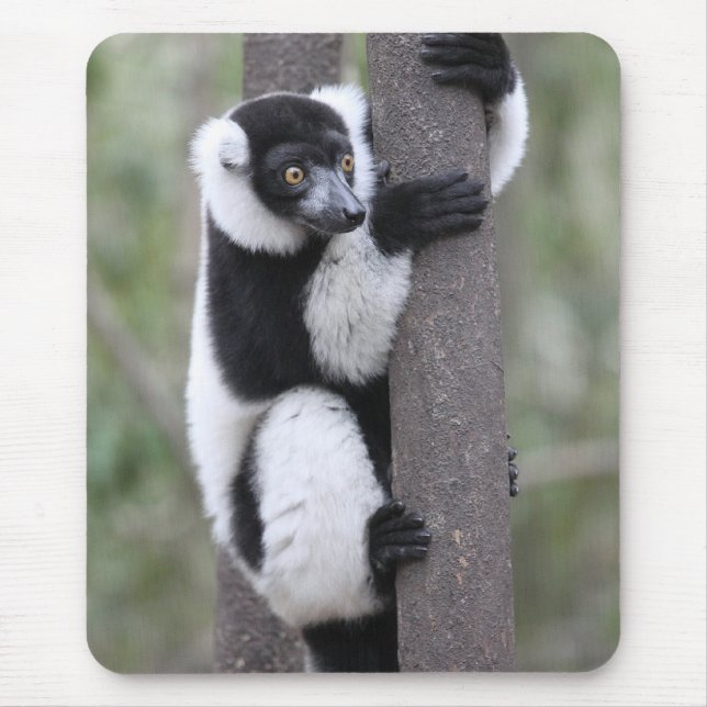 Alfombrilla De Ratón Lemur superado blanco y negro en árbol (Frente)