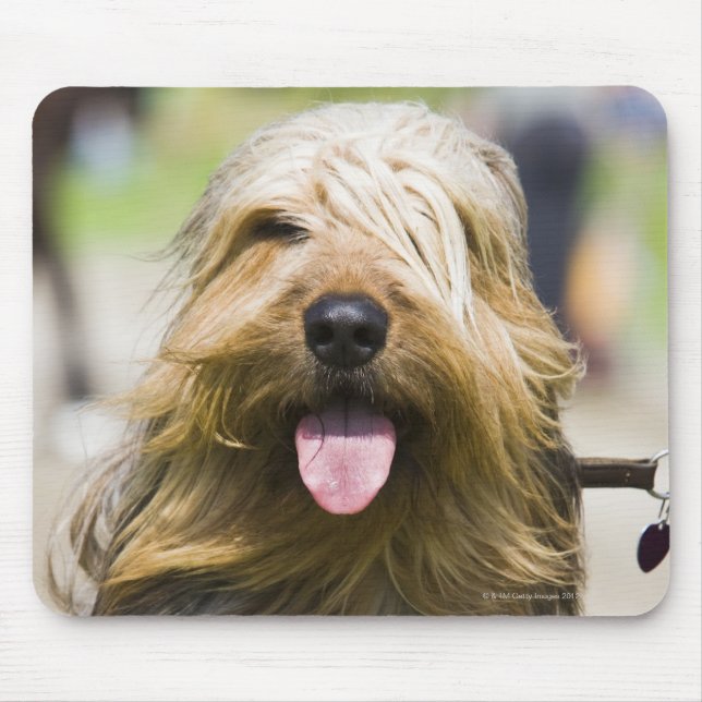 Alfombrilla De Ratón lengua, pelo largo, retrato (Frente)