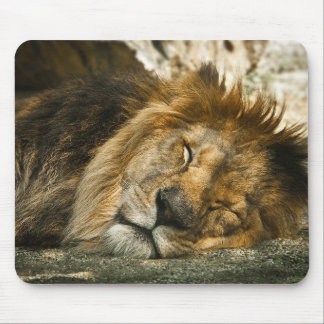 Alfombrilla De Ratón león