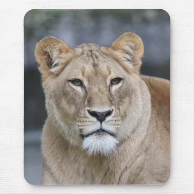 Alfombrilla De Ratón León 004 (Frente)