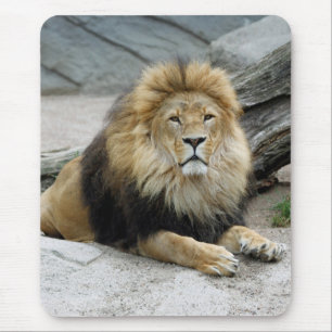 Alfombrilla De Ratón León 020