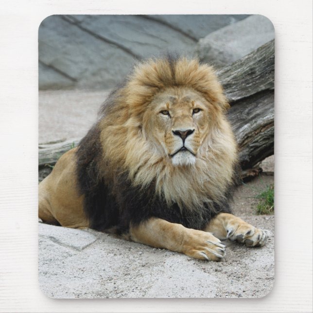 Alfombrilla De Ratón León 020 (Frente)