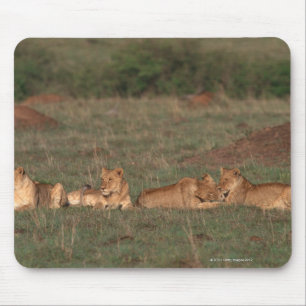 Alfombrilla De Ratón León 4