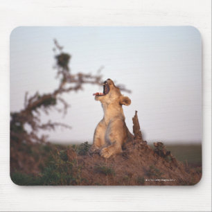 Alfombrilla De Ratón León 7