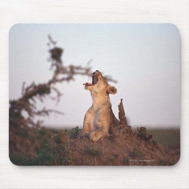 Alfombrilla De Ratón León 7 (Frente)