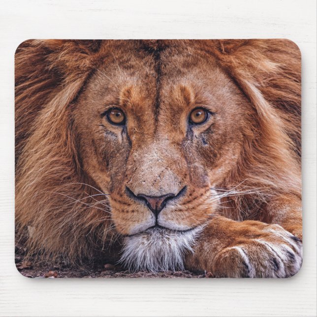 Alfombrilla De Ratón León africano (Frente)