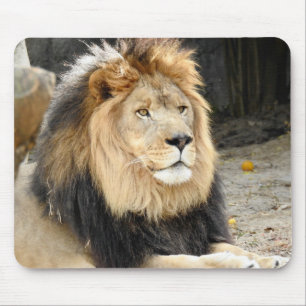 Alfombrilla De Ratón León africano