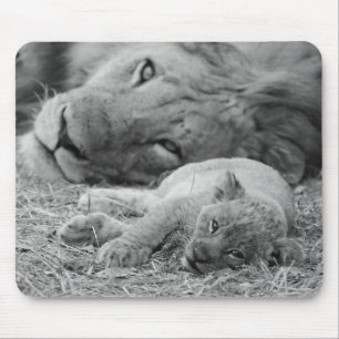 Alfombrilla De Ratón León Cub lindo que descansa con el padre