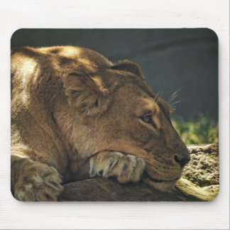 Alfombrilla De Ratón León en la Sombra Mousepad