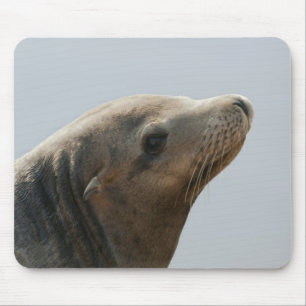 Alfombrilla De Ratón León Marino