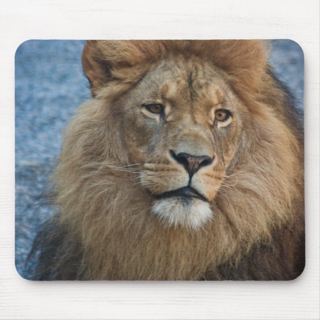 Alfombrilla De Ratón León Mousepad (Frente)