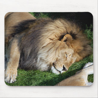 Alfombrilla De Ratón León Mousepad el dormir