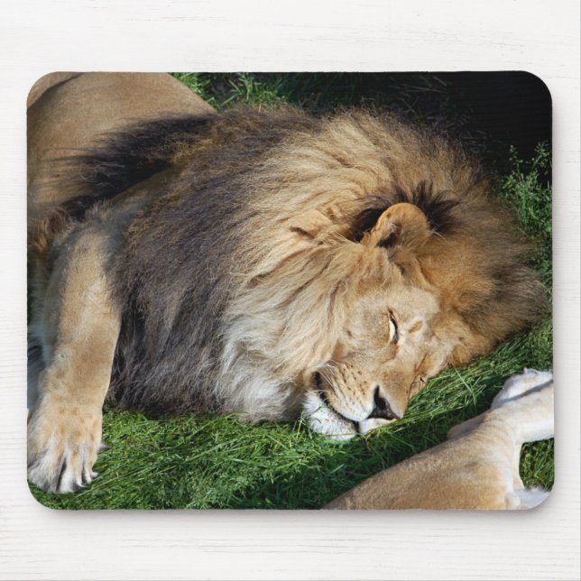 Alfombrilla De Ratón León Mousepad el dormir (Frente)