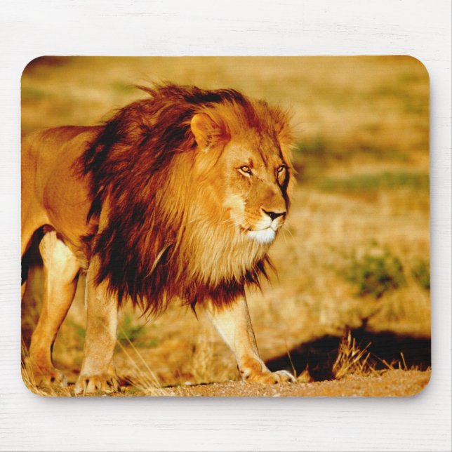 Alfombrilla De Ratón León Solitario (Frente)