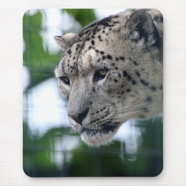 Alfombrilla De Ratón Leopard 003 (Frente)