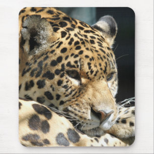 Alfombrilla De Ratón Leopard 004