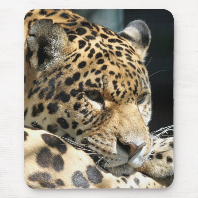 Alfombrilla De Ratón Leopard 004 (Frente)