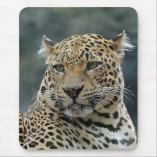 Alfombrilla De Ratón Leopard 006