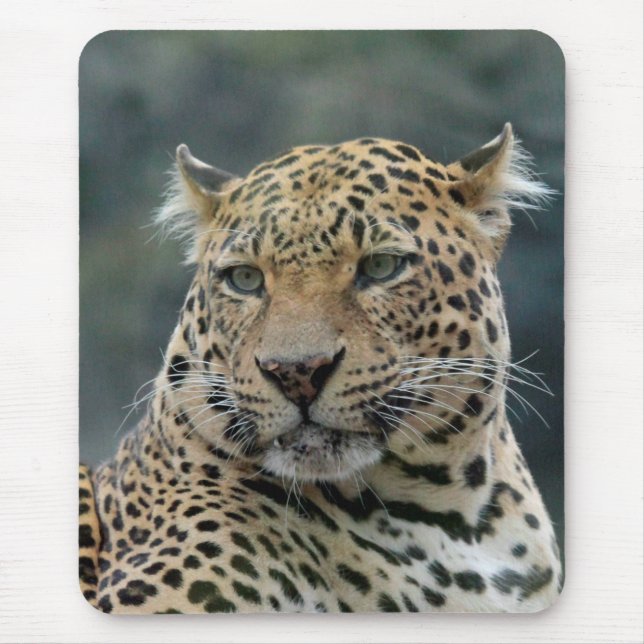 Alfombrilla De Ratón Leopard 006 (Frente)