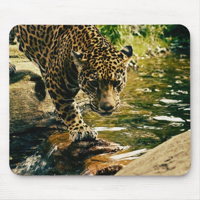 Alfombrilla De Ratón Leopard cruzando una fotografía de streaming (Frente)