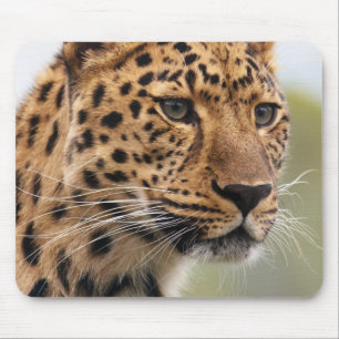Alfombrilla De Ratón Leopard Head Shot