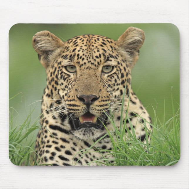 Alfombrilla De Ratón Leopard, Panthera pardus, Sabi Sabi Game (Frente)