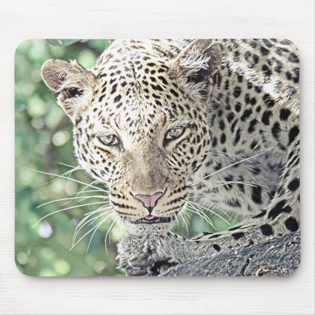 Alfombrilla De Ratón leopardo de animales smartmix 2 (Frente)