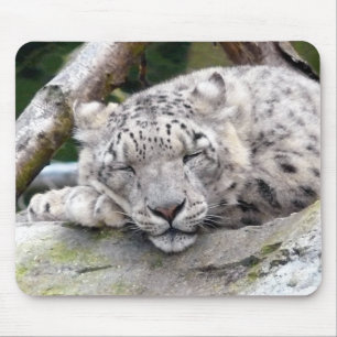 Alfombrilla De Ratón Leopardo de la nieve - ¡hermoso!