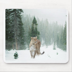 Alfombrilla De Ratón Leopardo de la nieve persa en la nieve