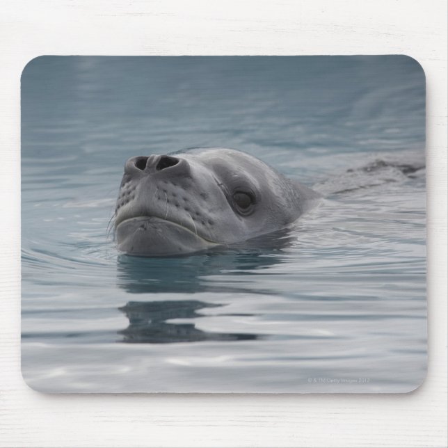 Alfombrilla De Ratón leopardo de las focas que nada (Frente)