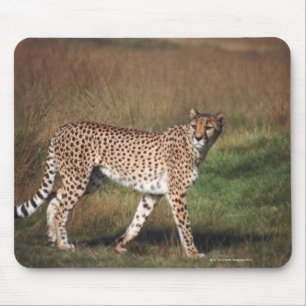 Alfombrilla De Ratón Leopardo en llano