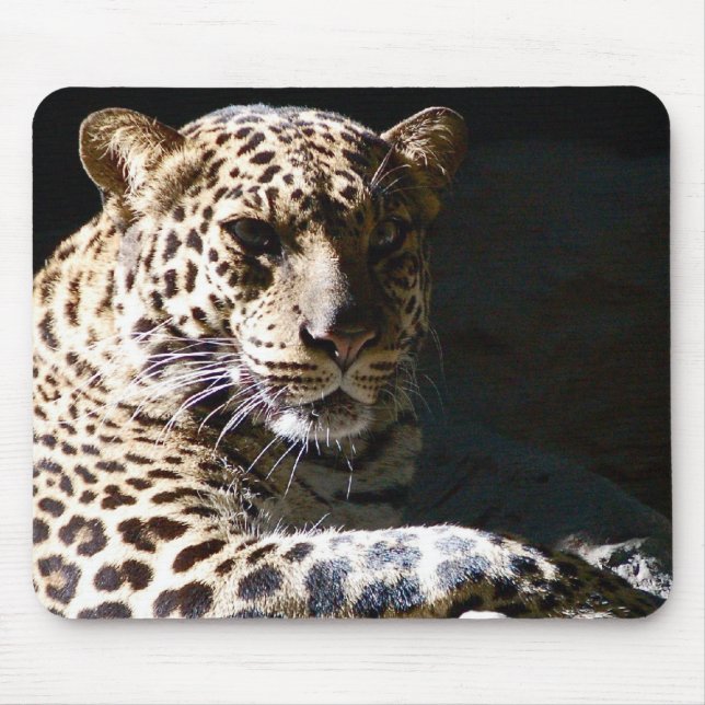 Alfombrilla De Ratón Leopardo fresco Mousepad (Frente)
