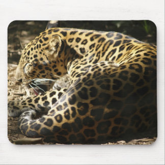 Alfombrilla De Ratón Leopardo Mousepad