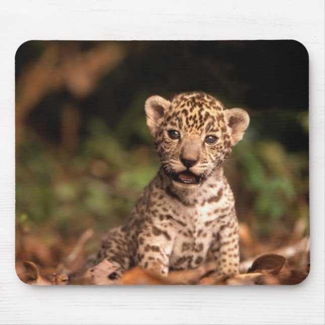 Alfombrilla De Ratón Leopardo Mousepad del bebé (Frente)