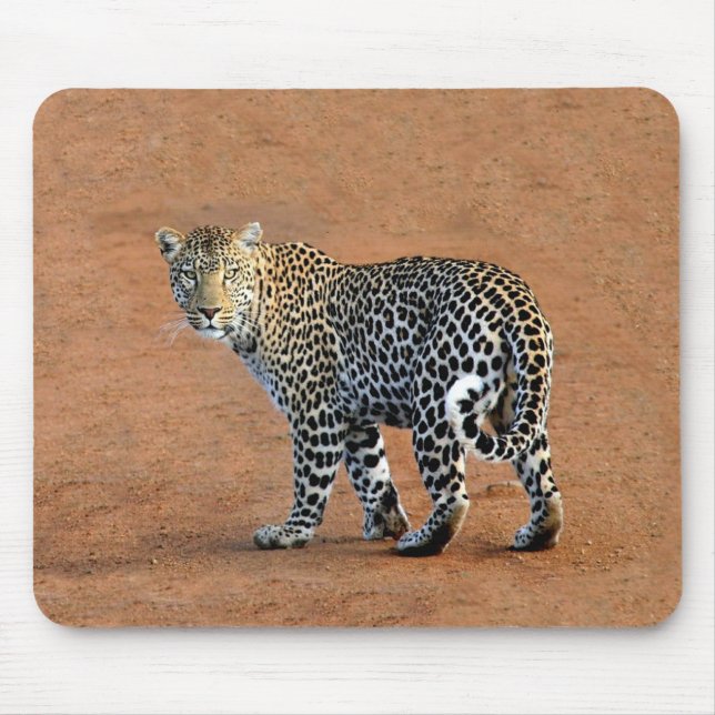 Alfombrilla De Ratón Leopardo salvaje en África (Frente)