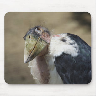 Alfombrilla De Ratón Leptoptilos crumeniferio