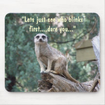 "Lets considera quién centella primero." mousepad.