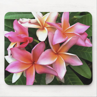 Alfombrilla De Ratón Leyenda De Flor De Frangipani Pink Pálido