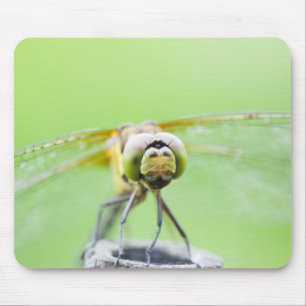 Alfombrilla De Ratón Libélula (infuscatum de Sympetrum)