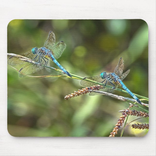 Alfombrilla De Ratón Libélulas en la rama Mousepad (Frente)