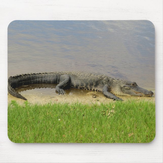 Alfombrilla De Ratón Ligador estadounidense - Agradable y tranquilo (Frente)