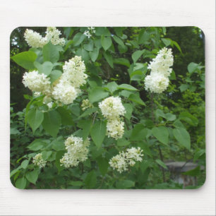 Alfombrilla De Ratón Lila Bush blanca