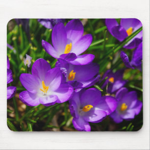 Alfombrilla De Ratón Lilac Crocuses