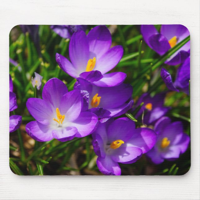 Alfombrilla De Ratón Lilac Crocuses (Frente)