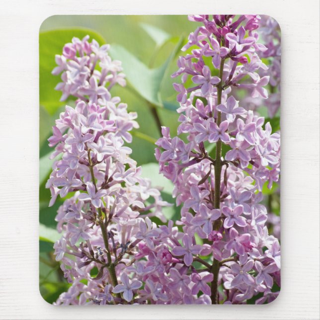 Alfombrilla De Ratón Lilac P5390 Mousepad (Frente)