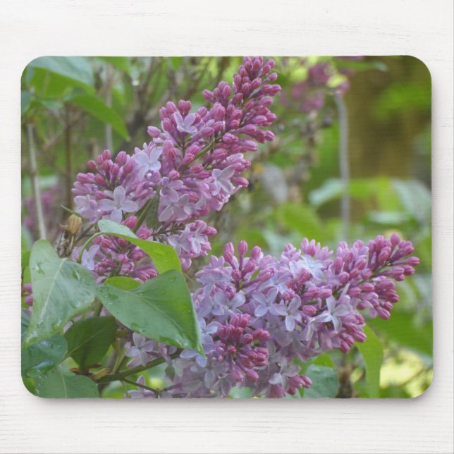 Alfombrilla De Ratón Lilacs (Frente)