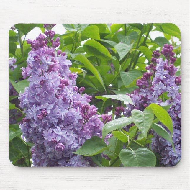 Alfombrilla De Ratón Lilacs Mousepad (Frente)