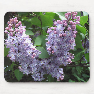 Alfombrilla De Ratón Lilas