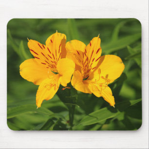 Alfombrilla De Ratón Lilies peruanos