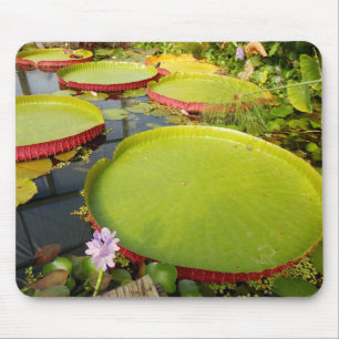 Alfombrilla De Ratón Lily Pads Mouse Mat